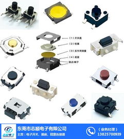 東莞市志順電子 專業(yè)供應(yīng)硅膠輕觸開關(guān)，連接珠海等地的可靠批發(fā)合作伙伴